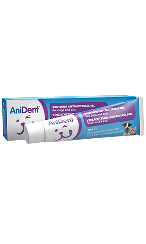 AniDent Soothing Dental Gel