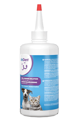 AniDent Oral Rinsing Solution
