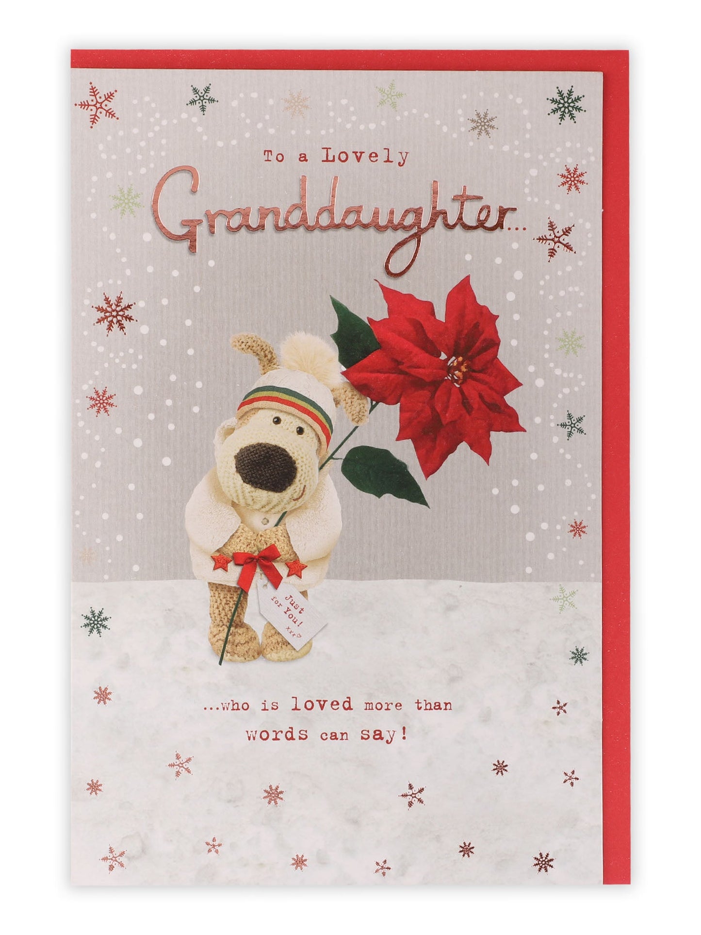 Granddaughter Boofle Poinsettia Christmas Card