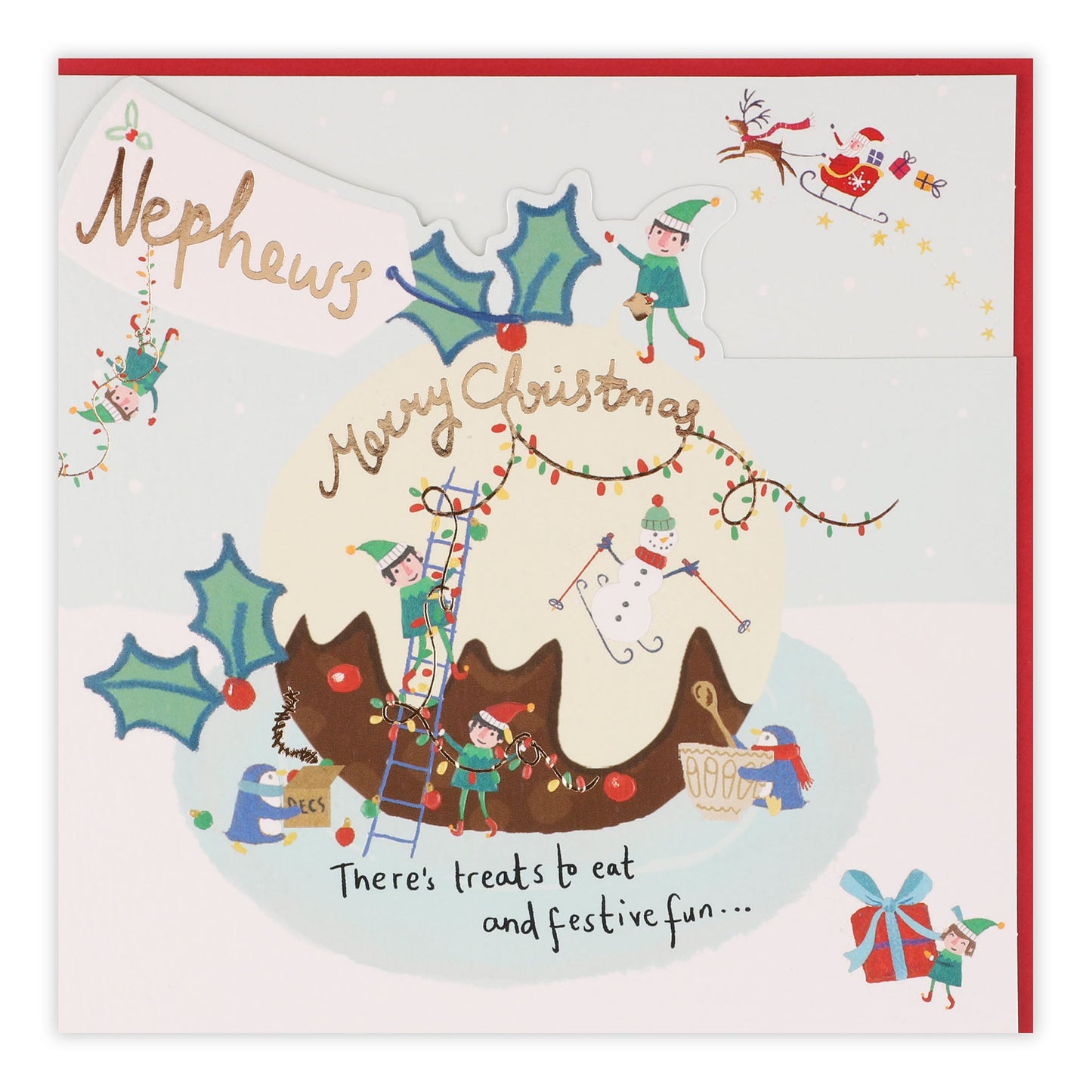 Nephews Santa's on Xmas Pudding Christmas Card