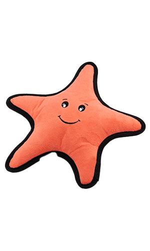 Beco Rough & Tough Dog Toy Starfish