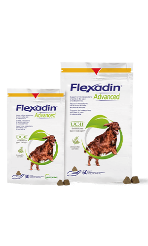 Vetoquinol Flexadin Advanced Dog Chews