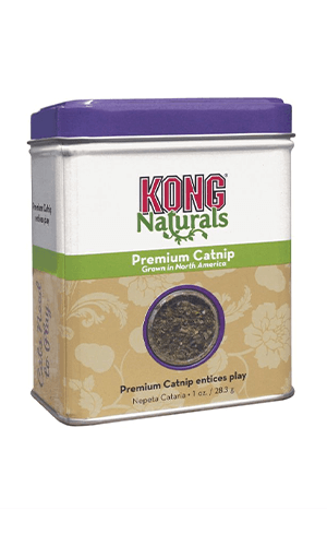 KONG Cat Catnip Premium