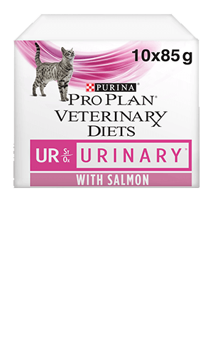 PURINA® PRO PLAN® Veterinary Diets - Feline UR ST/OX Urinary - Salmon Tender Pieces in Gravy
