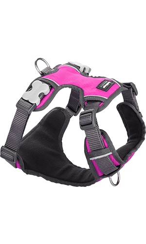 Red Dingo Hot Pink Padded Harness