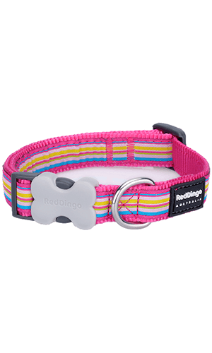 Red Dingo Hot Pink Stripe Dog Collar