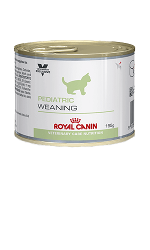 ROYAL CANIN® Pediatric Weaning Wet Kitten Food