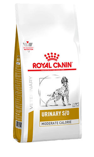 ROYAL CANIN® Urinary S/O Moderate Calorie Adult Dry Dog Food