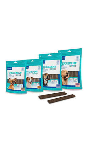 Virbac Veggiedent Chews for Dogs