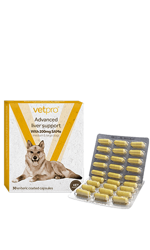 Vetpro Advanced Liver Support (Medium/Large Dogs)