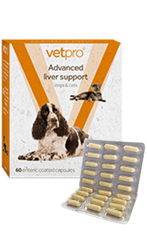 Vetpro Advanced Liver Support