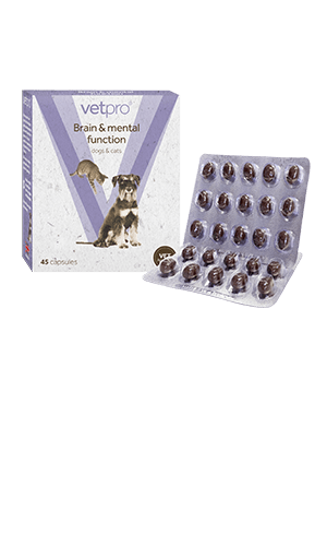 Vetpro Brain & Mental Function