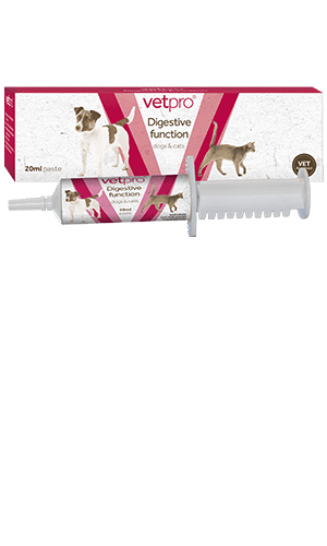 Vetpro Digestive Function Probiotic Paste