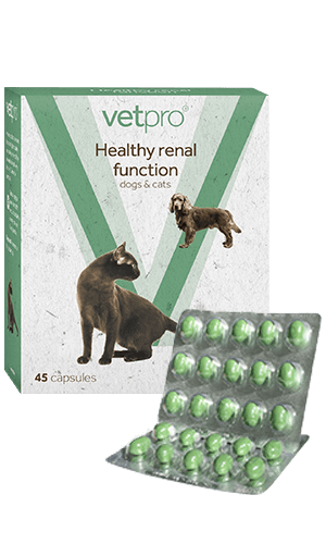 Vetpro Healthy Renal Function