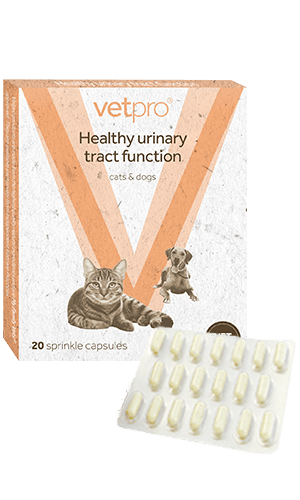 Vetpro Healthy Urinary Tract Function