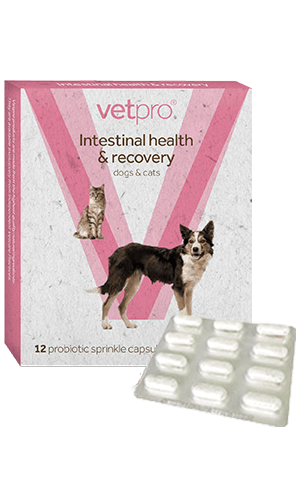 Vetpro Intestinal Health & Recovery