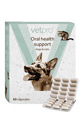 Vetpro Oral Health Support